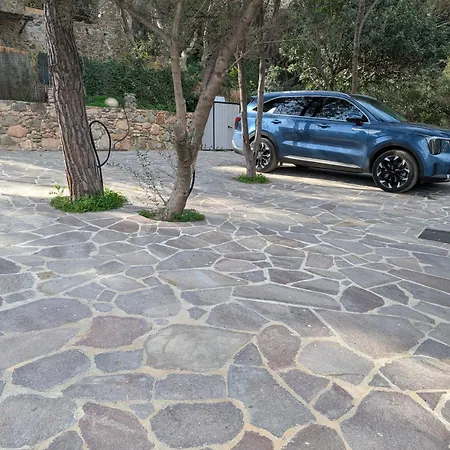 Alba توري ديل ستيل